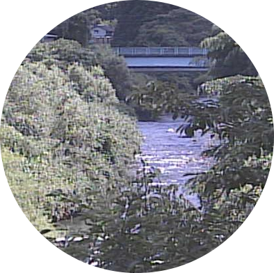 棚野川